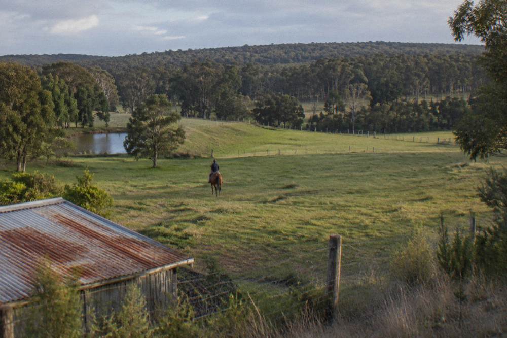 A horse and rider crossing open farmland with forest in the distance near Margaret River