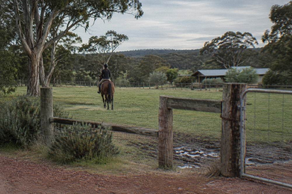 A rider on a horse crossing a grassy clearing beside a farm fence line in late afternoon light