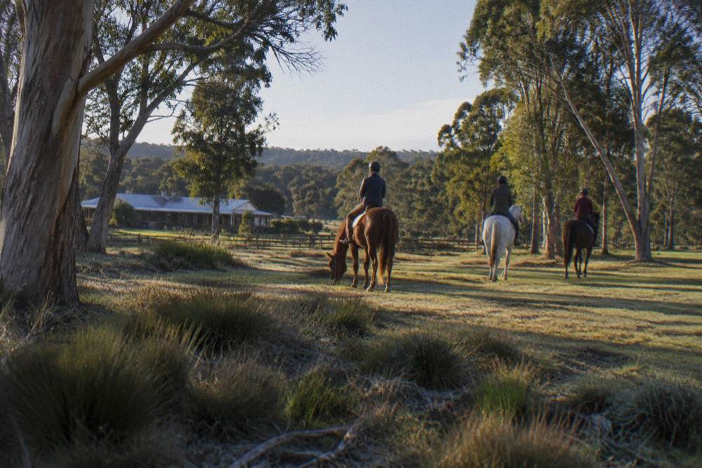 Riders on horseback crossing a wide grassy clearing between trees
