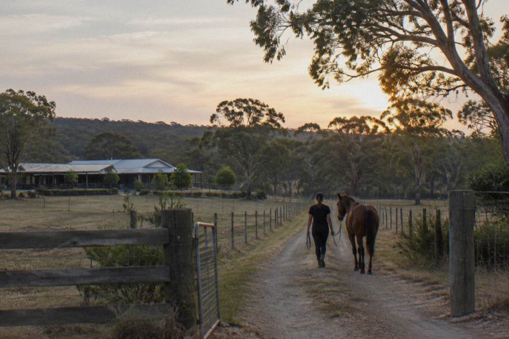 A rider leading a quiet brown horse along a grassy country lane between paddocks