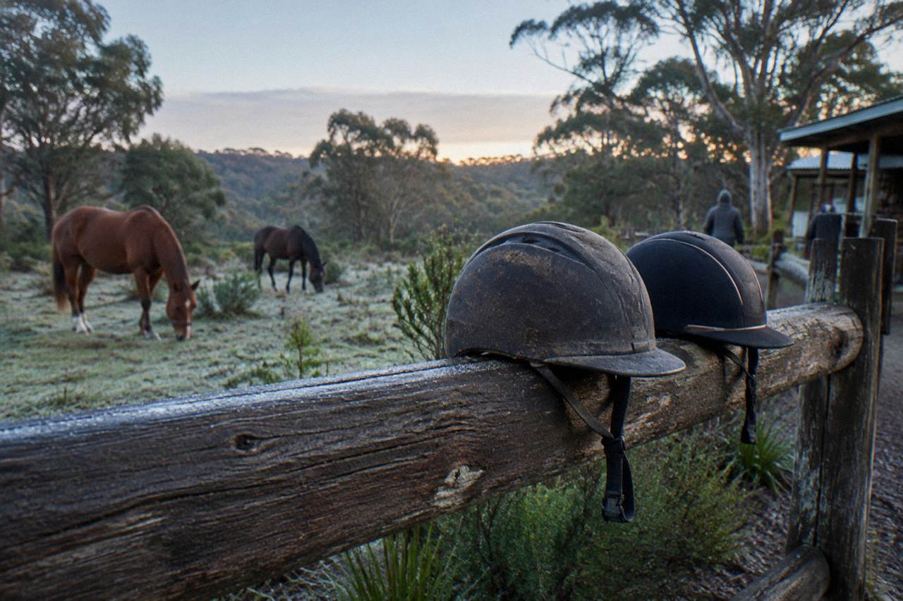Horses grazing in bushland near Margaret River with riding helmets resting on a fence rail