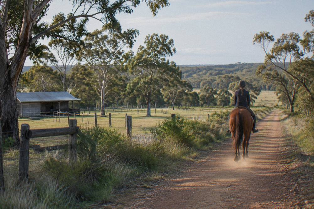 A quiet bush track winding through Margaret River farmland with a horse and rider walking at a relaxed pace