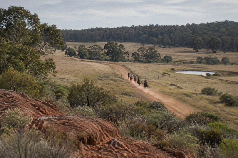 Riders on a bush track crossing open farmland with trees on the horizon