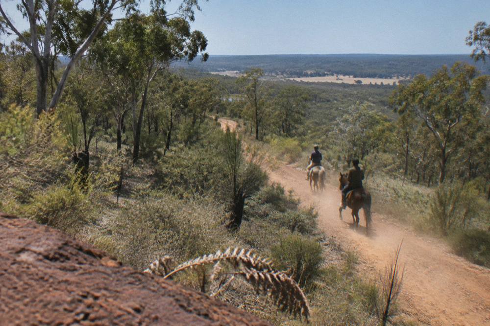 Riders on horseback moving along a dirt track through open bushland