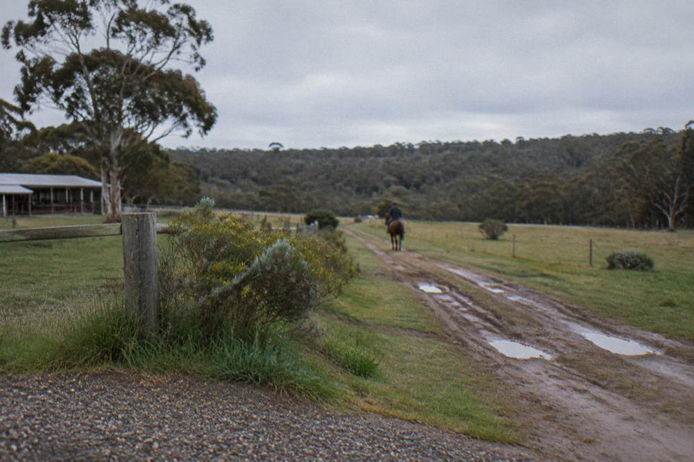 A dirt track through open farmland with bushland on the horizon under a wide sky