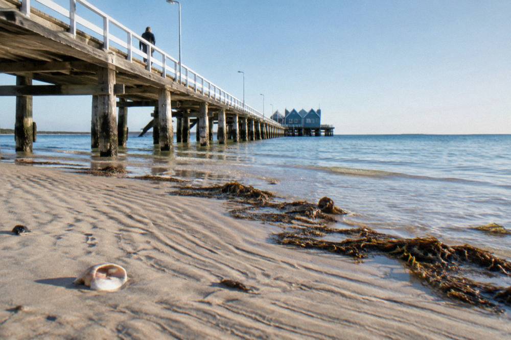 A park bench beside a wide wooden jetty on a sunny afternoon near calm pale sand
