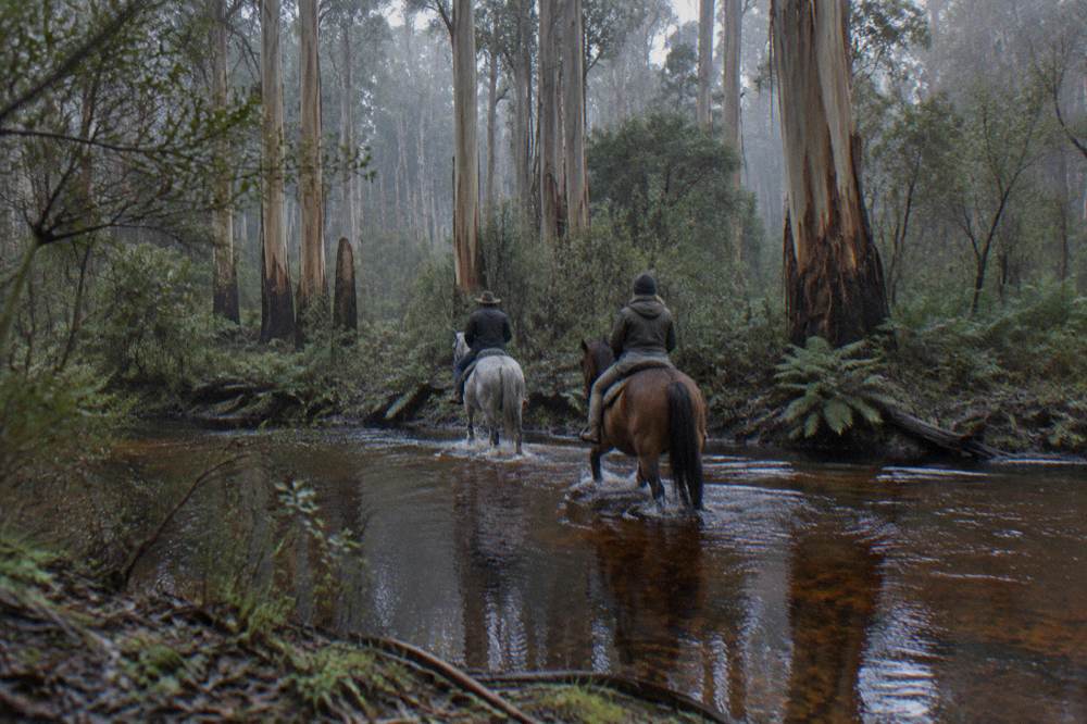 Two riders on horseback crossing a shallow forest stream surrounded by tall trees