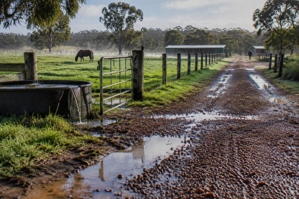 A gravel country lane running through green farmland toward a riding stable in the distance