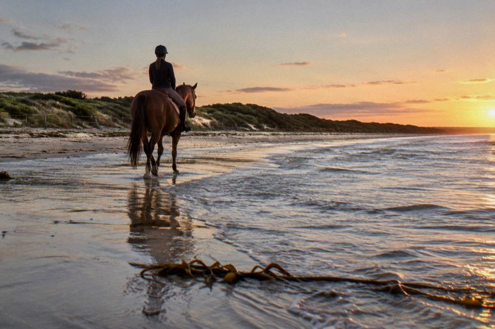 A horse and rider walking on firm wet sand beside gentle bay water with dunes fenced off in the background