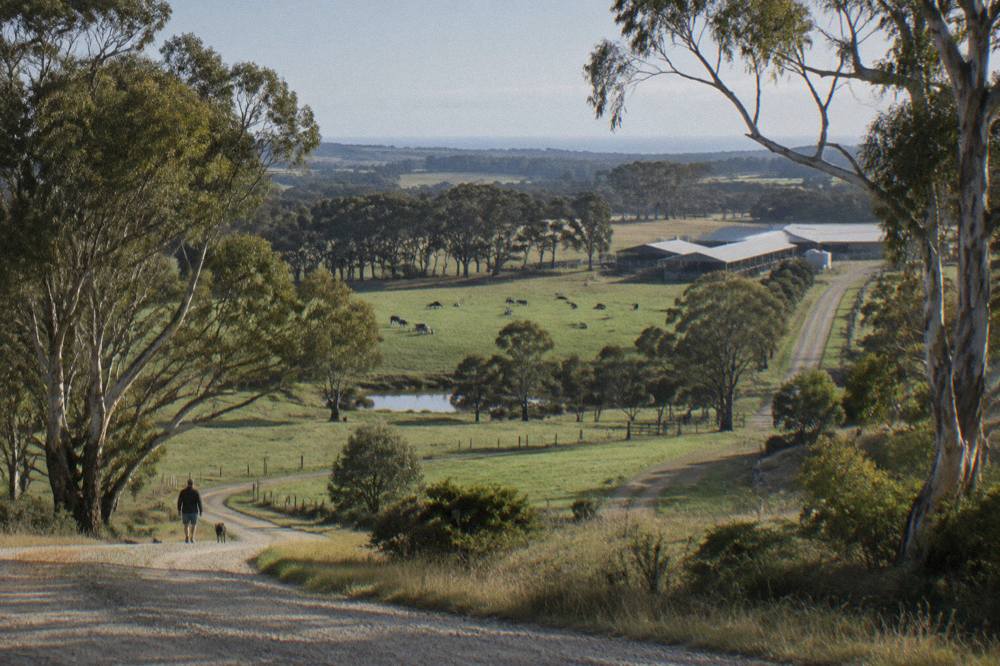 Green rolling farmland with gravel country lane and scattered marri trees under a partly cloudy sky