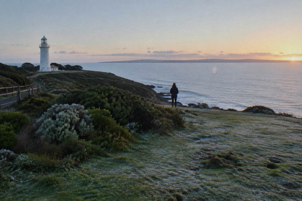 A grassy clifftop overlooking a wide calm bay with distant hills