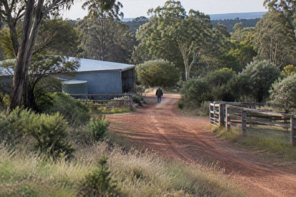 A gravel driveway leading to a rural farm with fencing and bush beyond