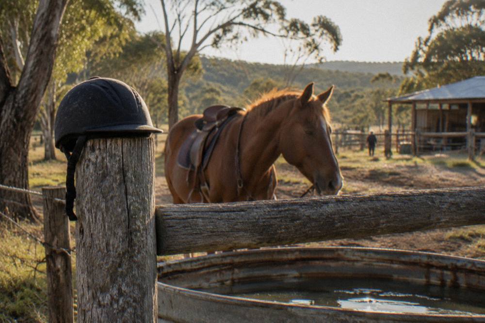 Child-sized riding helmet resting on a fence post beside a saddled horse