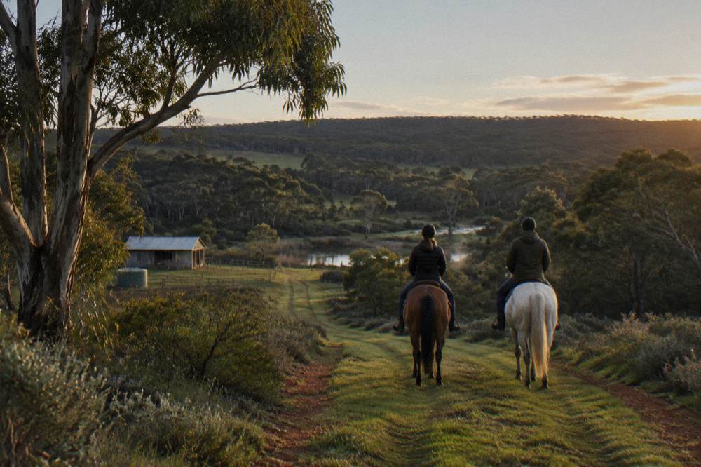 Parent and teenage rider sitting on horses side by side on a grassy trail