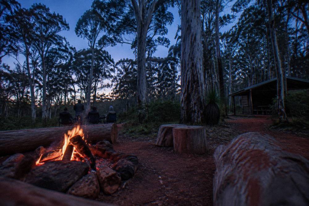 Camp fire burning beside rustic logs in a forest clearing at dusk