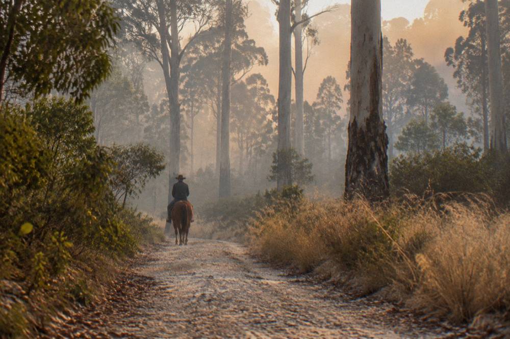 Horse and rider on a bush track with smoke haze softening the treeline