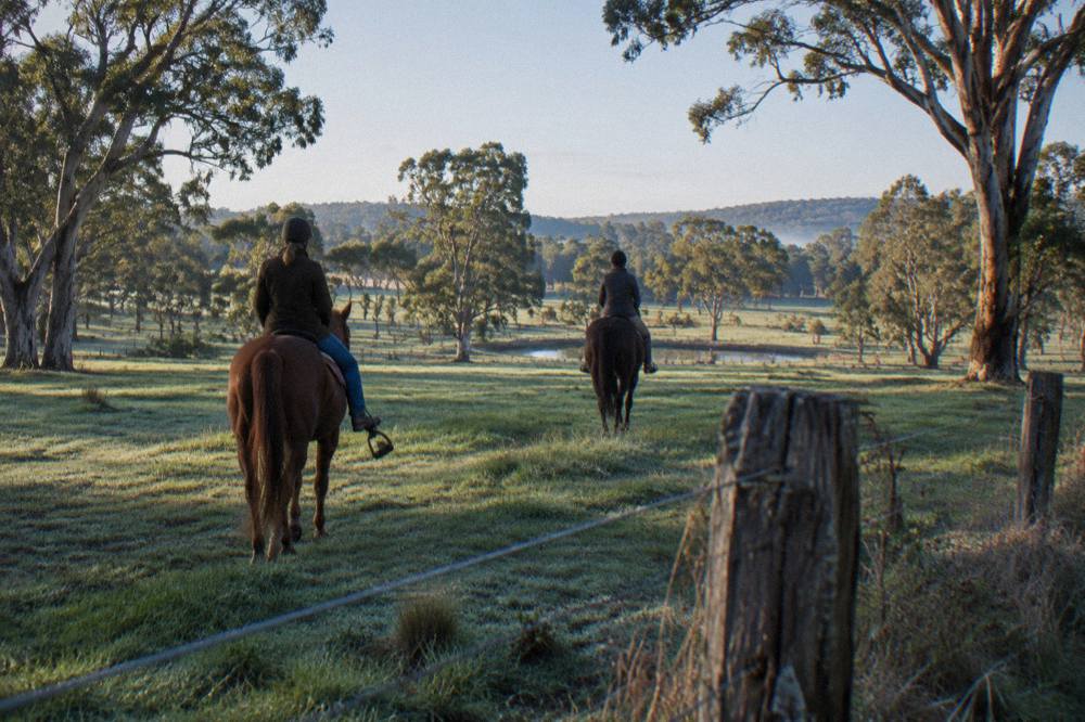 Riders on a bush trail crossing open farmland with scattered trees
