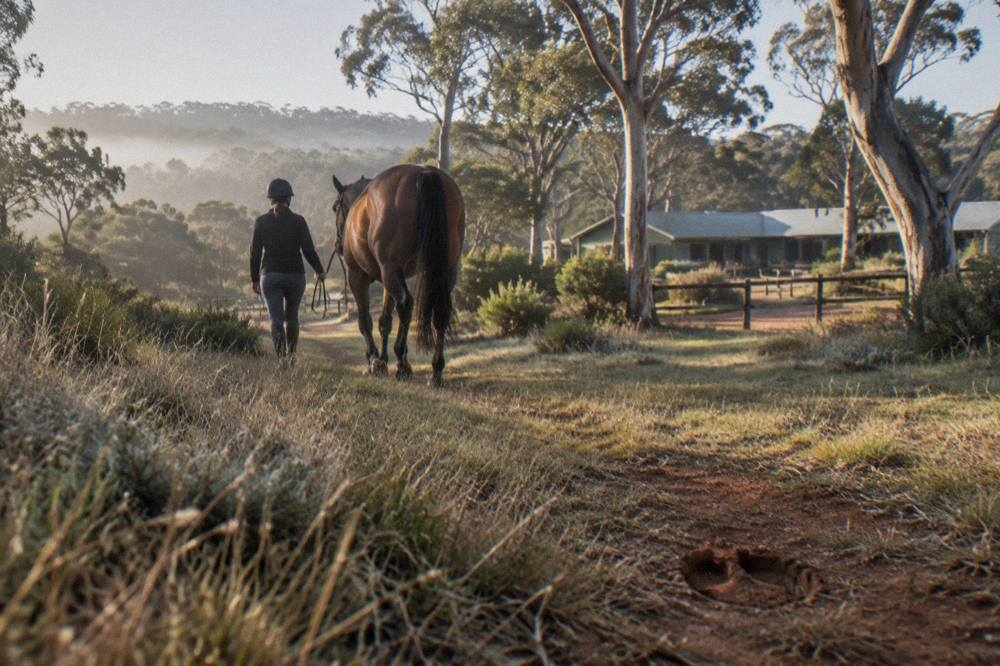 A rider in a helmet and long trousers walking a horse along a grassy bush track