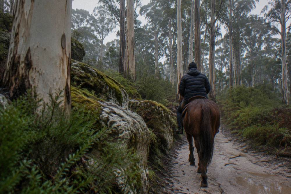 A rider wearing a warm jacket and beanie on a misty forest trail in winter