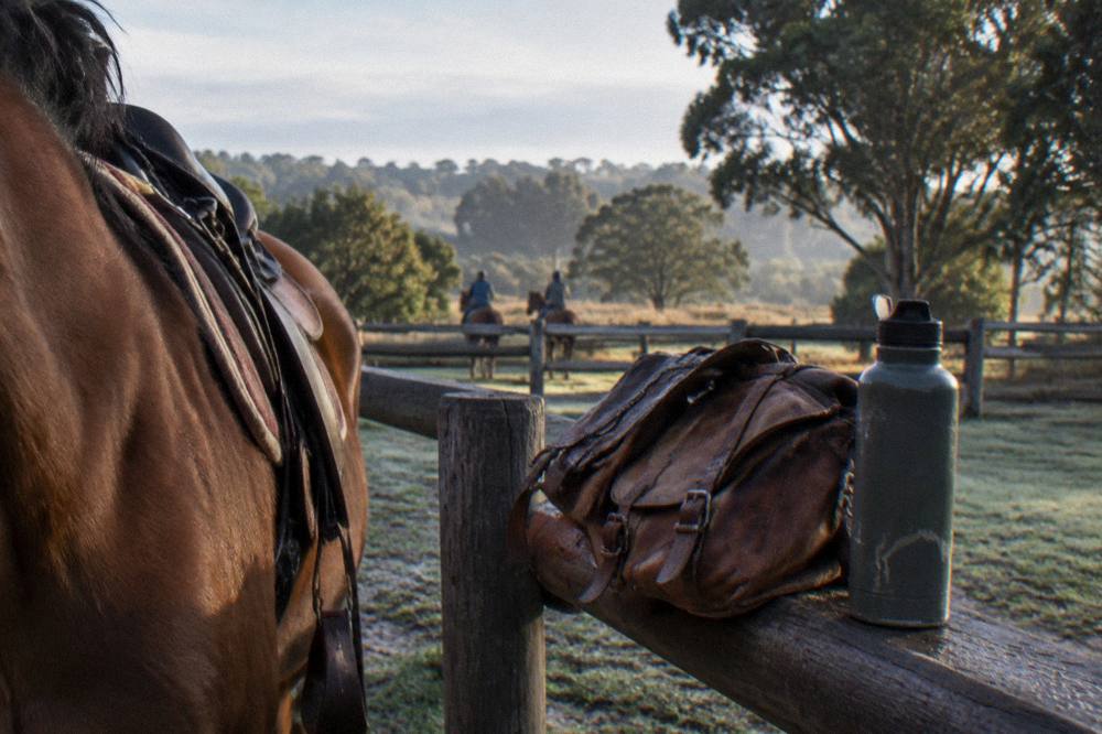A saddlebag and water bottle packed for a long trail ride beside a horse